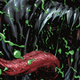 Illustration for article titled Eddie Brock mourns the loss of his symbiote love in this Venom #9 exclusive